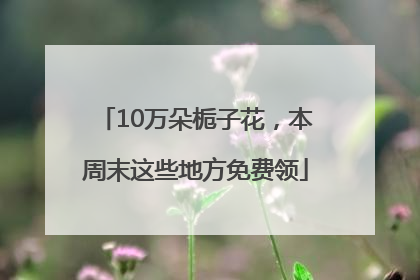 10万朵栀子花，本周末这些地方免费领
